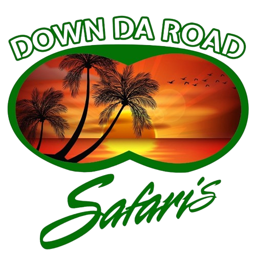 Down Da Road Safaris